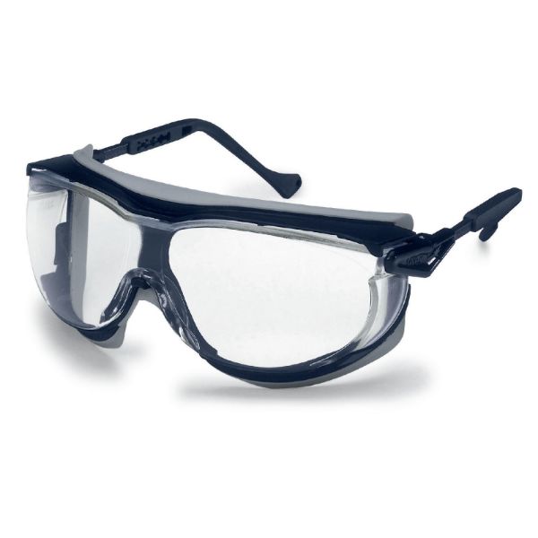 Picture of Uvex Skyguard NT Blue/Grey Frame