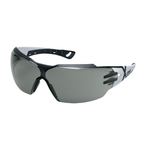 Picture of uvex Pheos cx2 Safety Specs - Grey