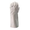 Picture of 20cm All Chrome Leather Gloves - Economy