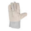 Picture of 6cm All Chrome Leather Gloves - Economy
