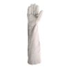 Picture of 40CM All Chrome Leather Glove - R 65.51
