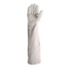 Picture of 40cm All Chrome Leather Gloves - Economy