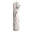 Picture of 40cm All Chrome Leather Gloves - Economy
