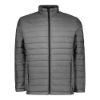 Picture of Grey Puffer Jacket