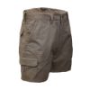 Picture of Titan Homegrown 5 Inch Cargo Shorts - 3 Colour Options
