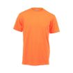 Picture of Unisex Crew Neck T-shirts - Variety of Colours