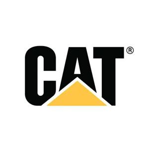 Picture for category CAT